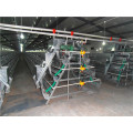 Hot Sale Chicken Cage with Good Quality in Africa ISO9001